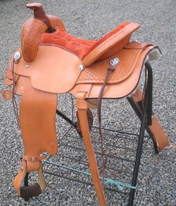 Gaited Pleasurehornstrait(2)