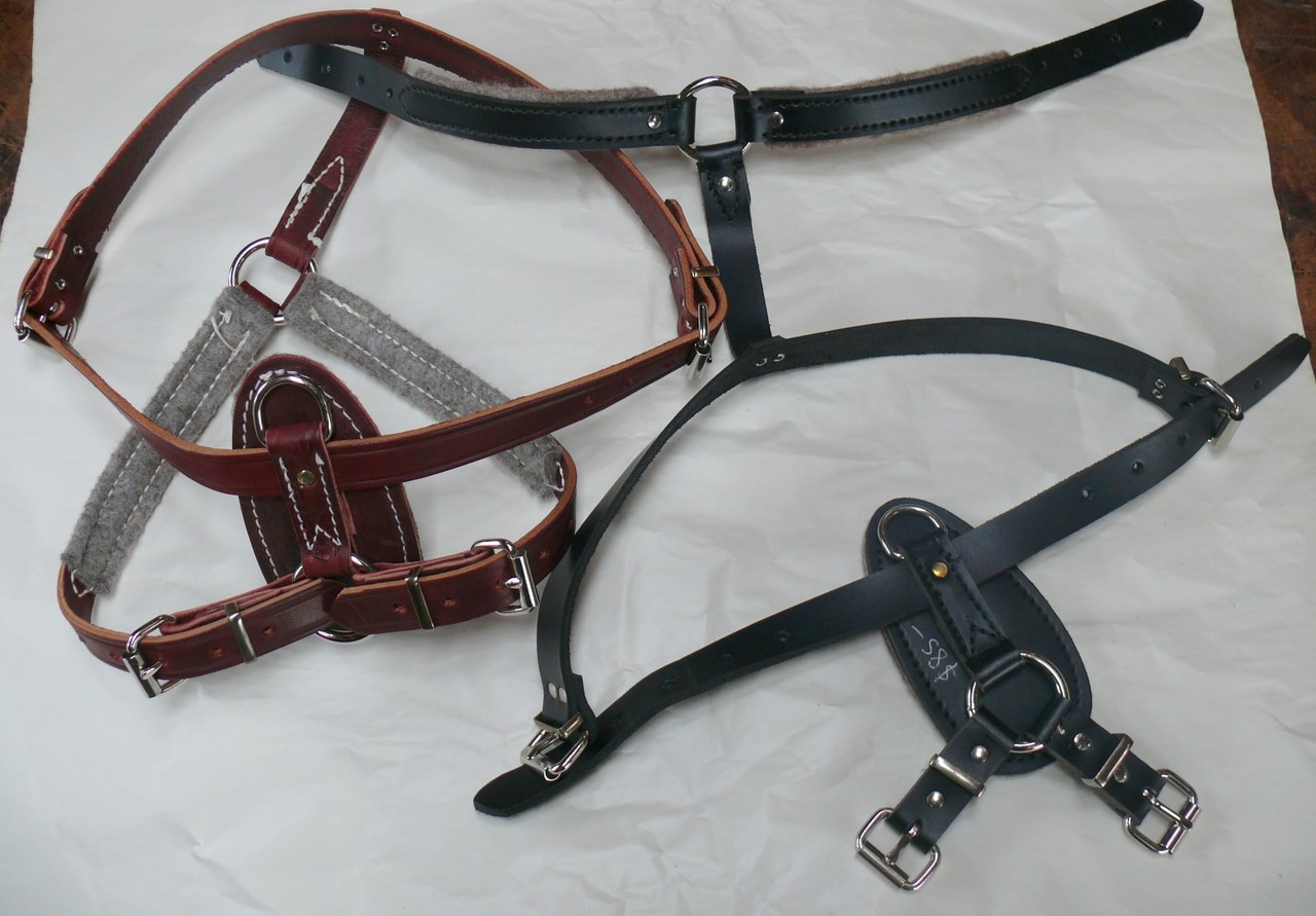 Xlarge Track Harness