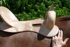 Treefrontonshoulder