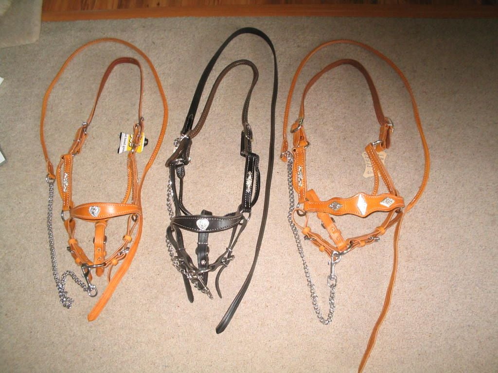 3 Silver Trim Show Halters