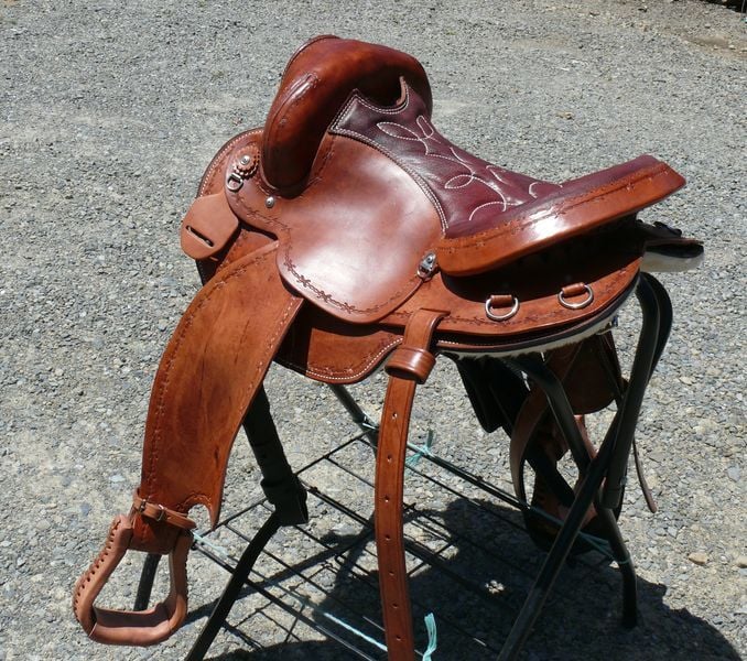 Gaited No Horn 800 X600(2)