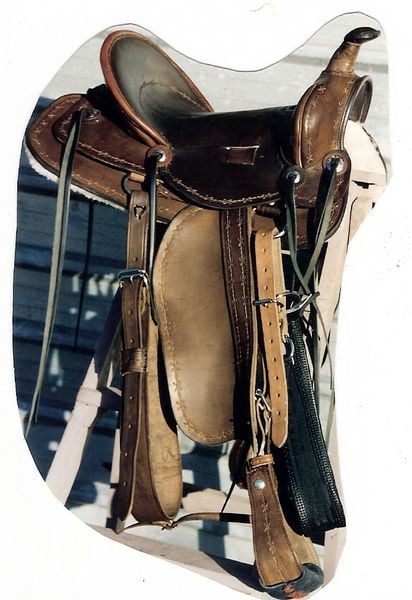 Plainsman 800 X600