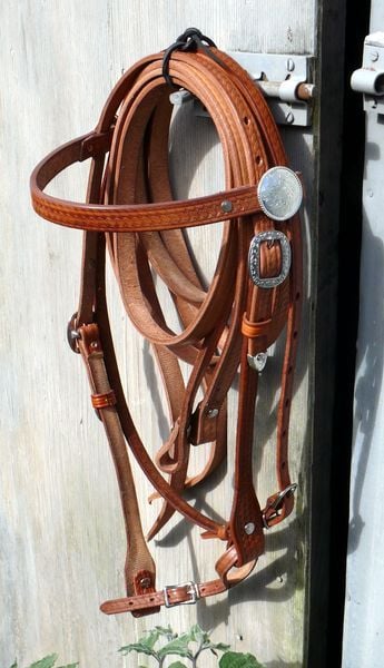 Bweave Bridle 800 X600