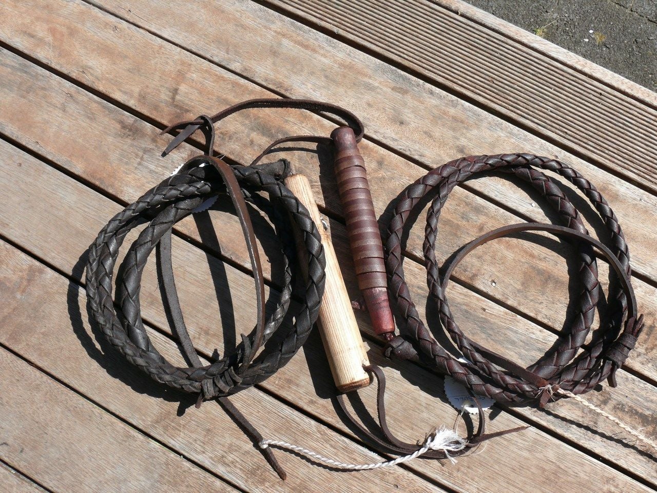 Bull Whips