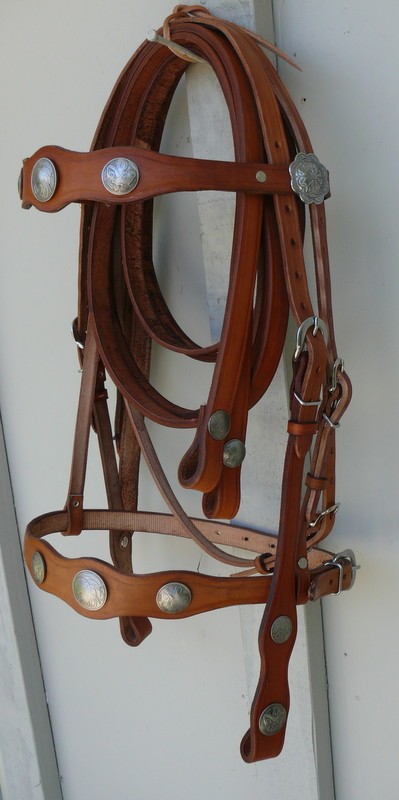 Kiwi Coin Show Bridle