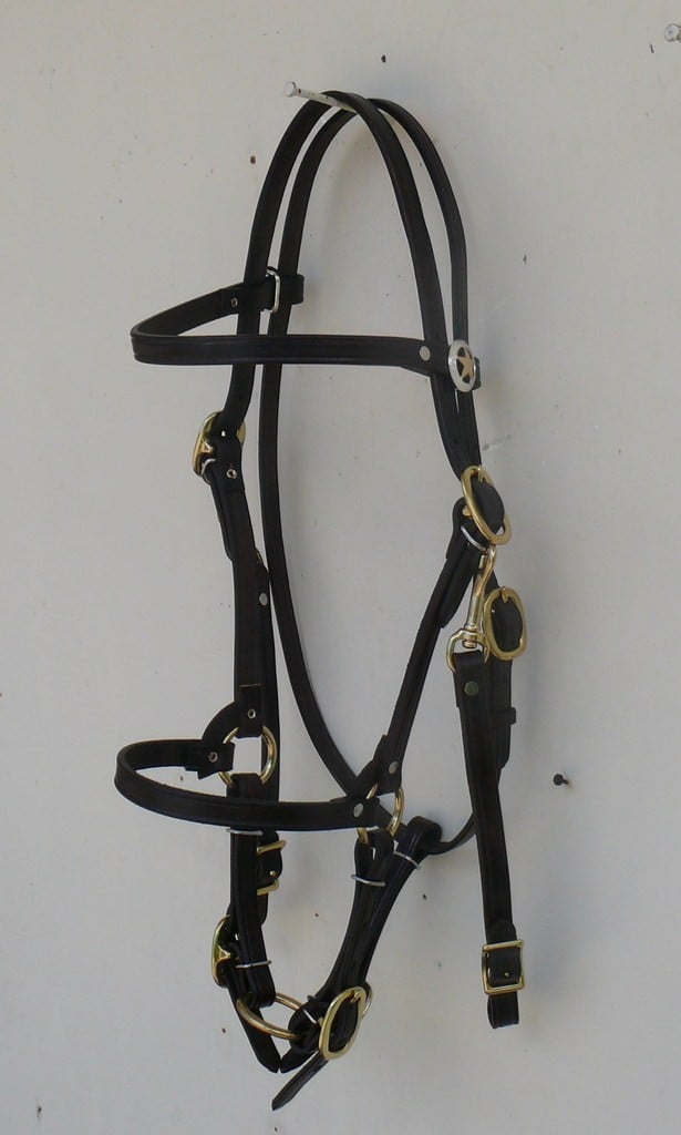 Enduro Halter Bridle