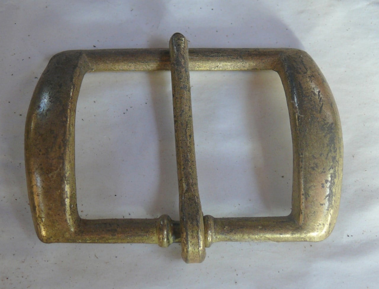 Buckle Wide Ant