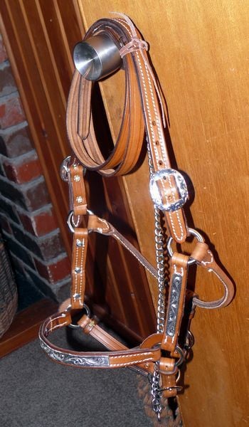 Sil Bar Show Halter 800 X600