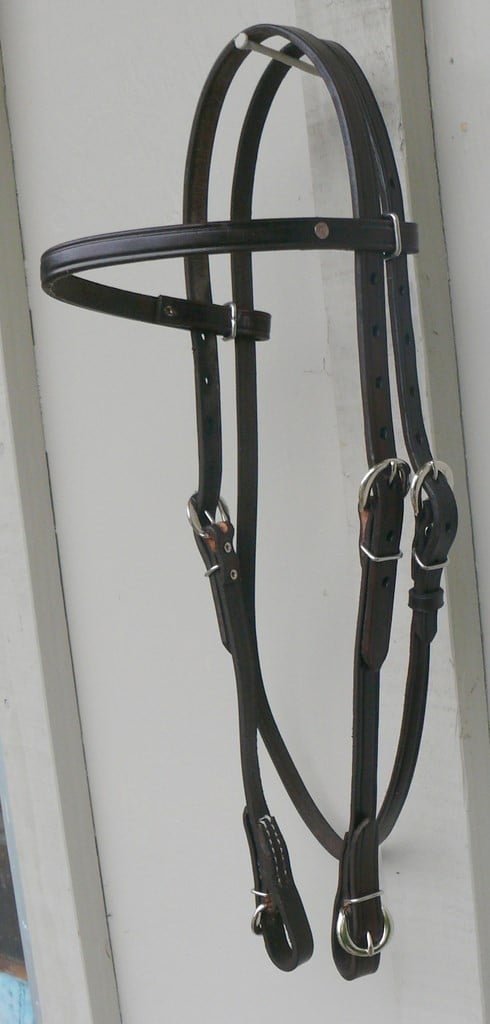 English Buckle Hstal