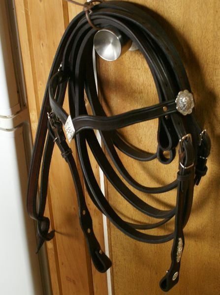 Show Bridle 800 X600