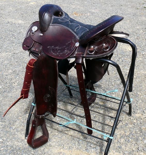 Arab Hornless 800 X600(2)