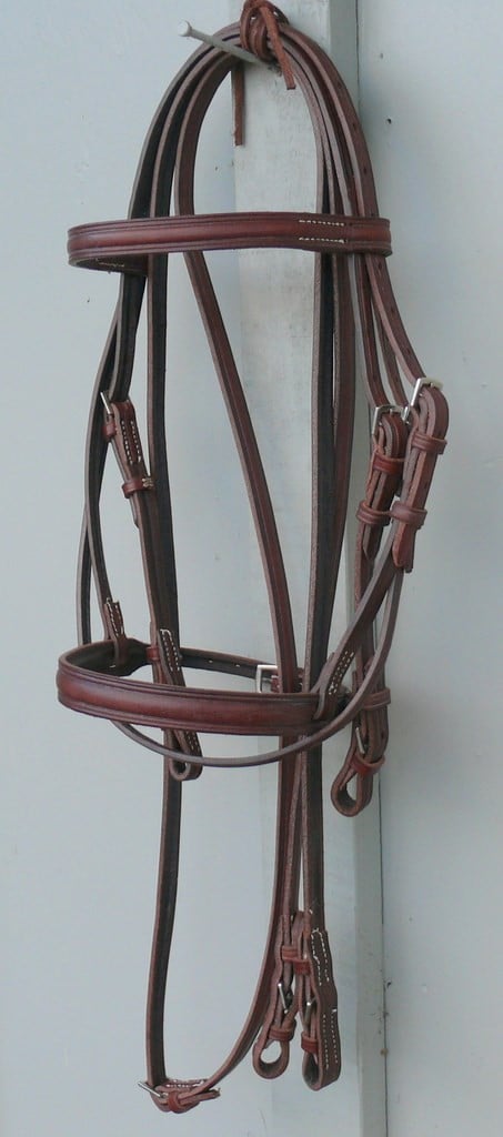 Eng Pony Bridle