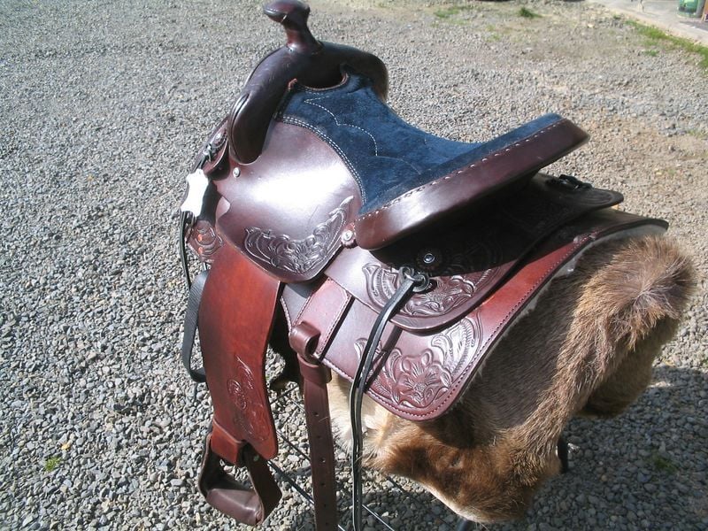 2001 Wf Cutaway Pleasure 2 800X600