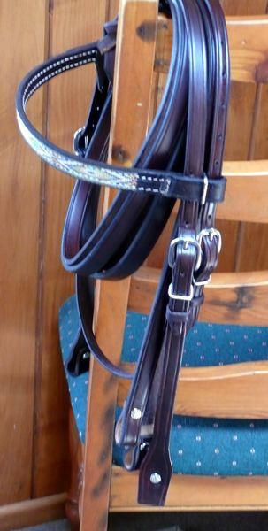 Nav Front Bridle 800 X600