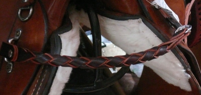 Monkey Strap