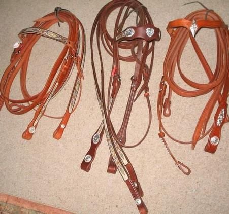 3 Show Bridles 640 X480