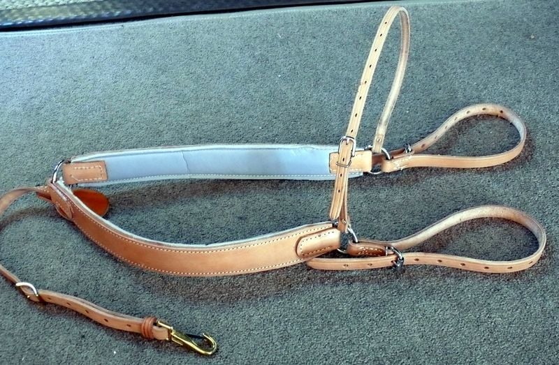 Bp With Overstrap 800 X600
