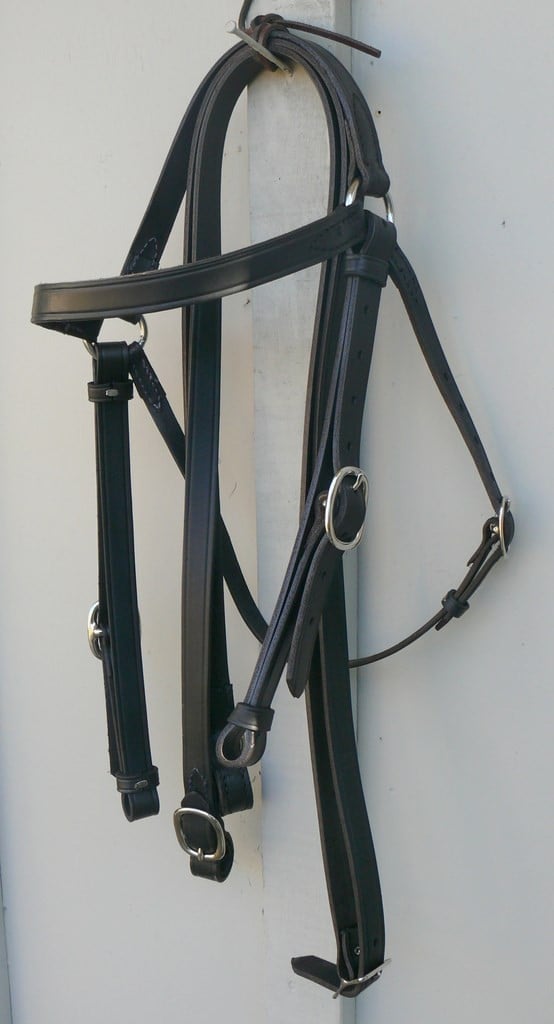 Station Bridle Fsize