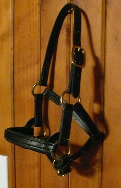 Mini Halter 800 X600