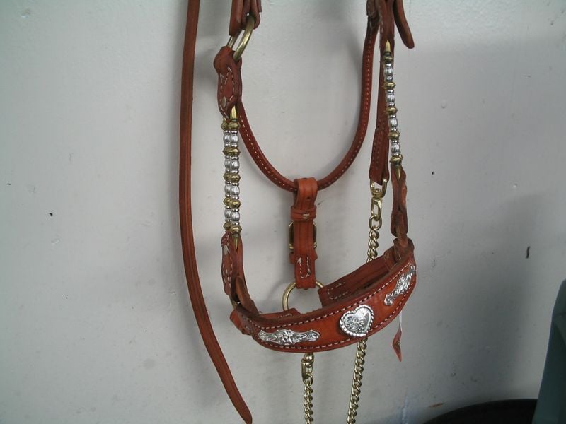 Beaded Show Halter 800 X600