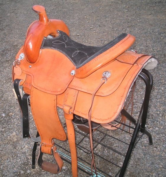 Gaited Pleasure 800 X600(3)