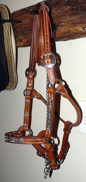 Show Halter Sil Bars 800 X600