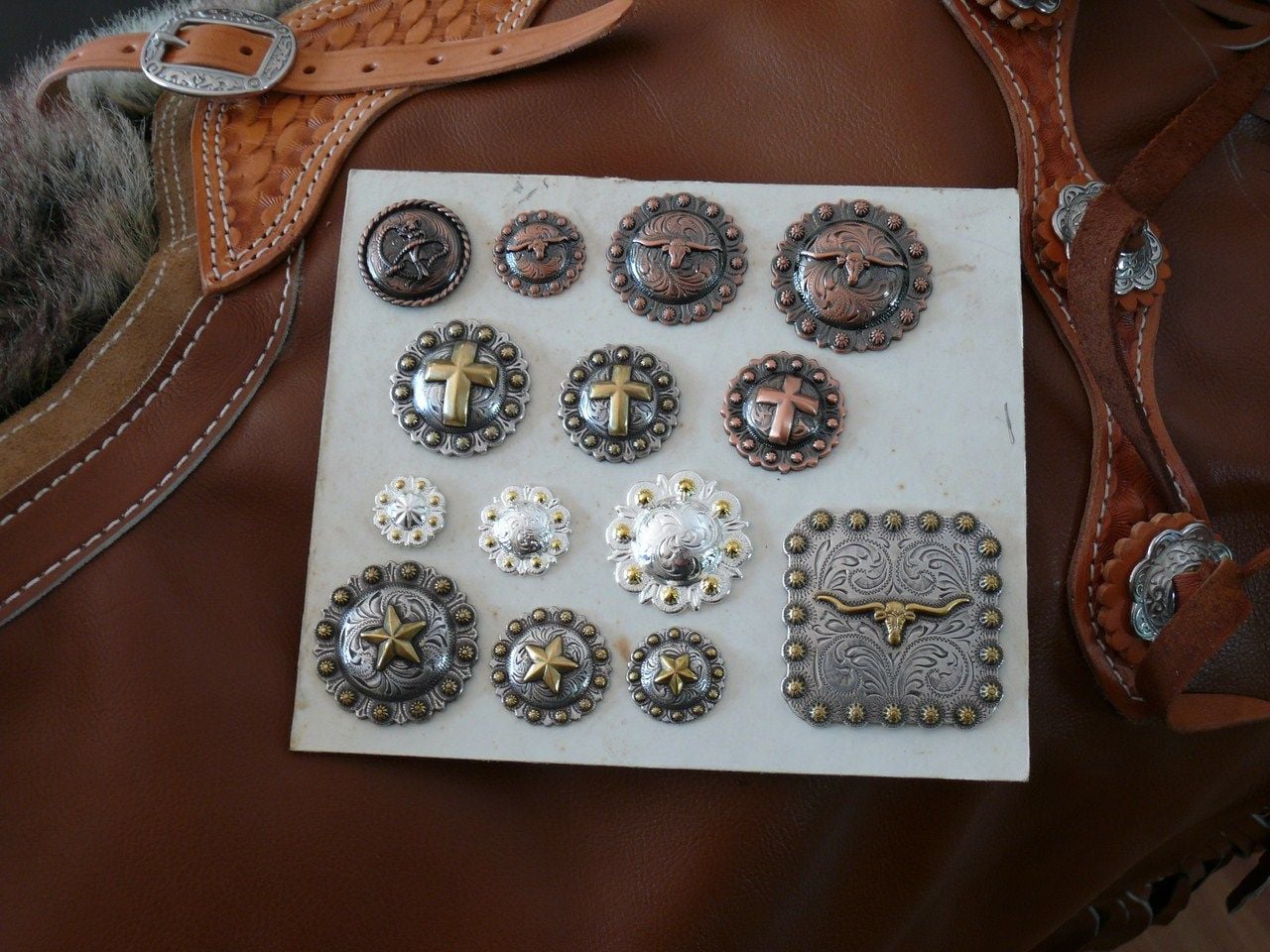 Conchos Various