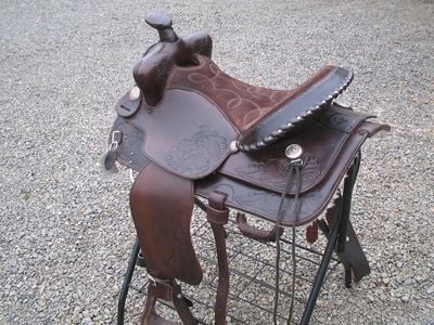 Ds95