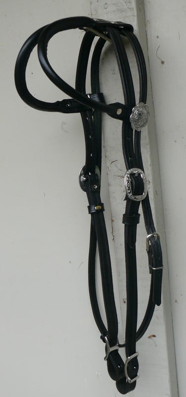 Double Ear Blk Hstal