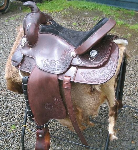 Equi Pleasure 800 X600