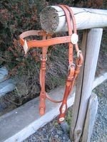 Bridleds 001