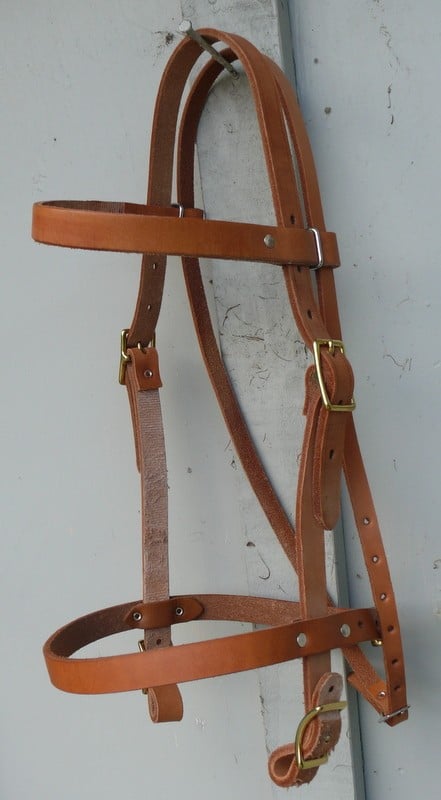 Basic Hs Noseband