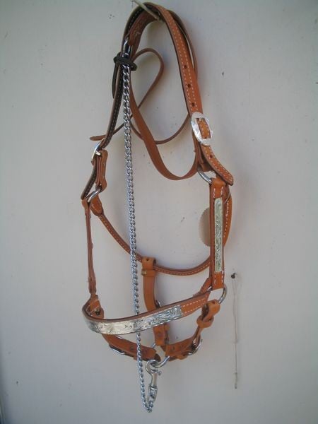 Silver Plate Show Halter 800 X600