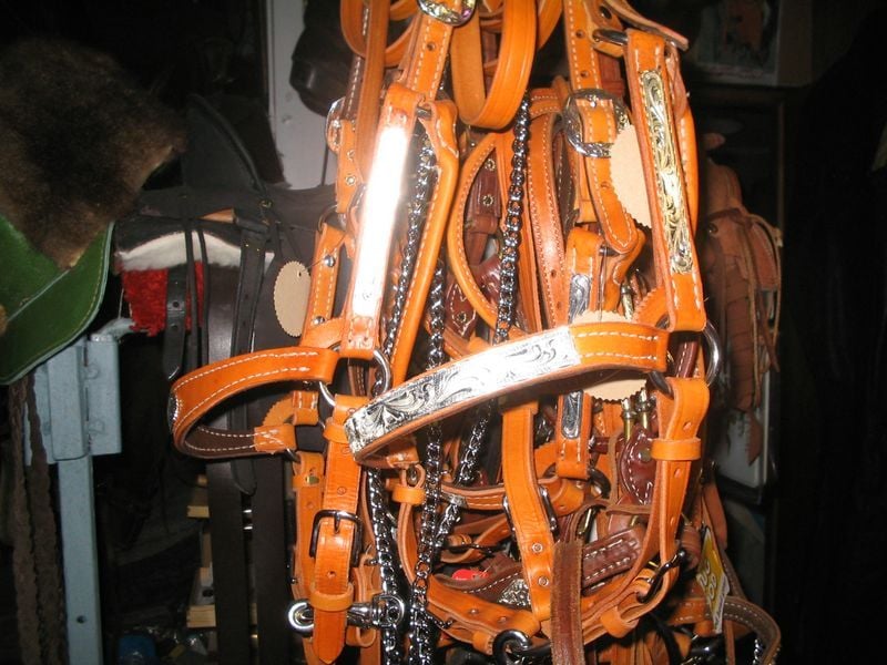 Show Halter Bundle 800 X600