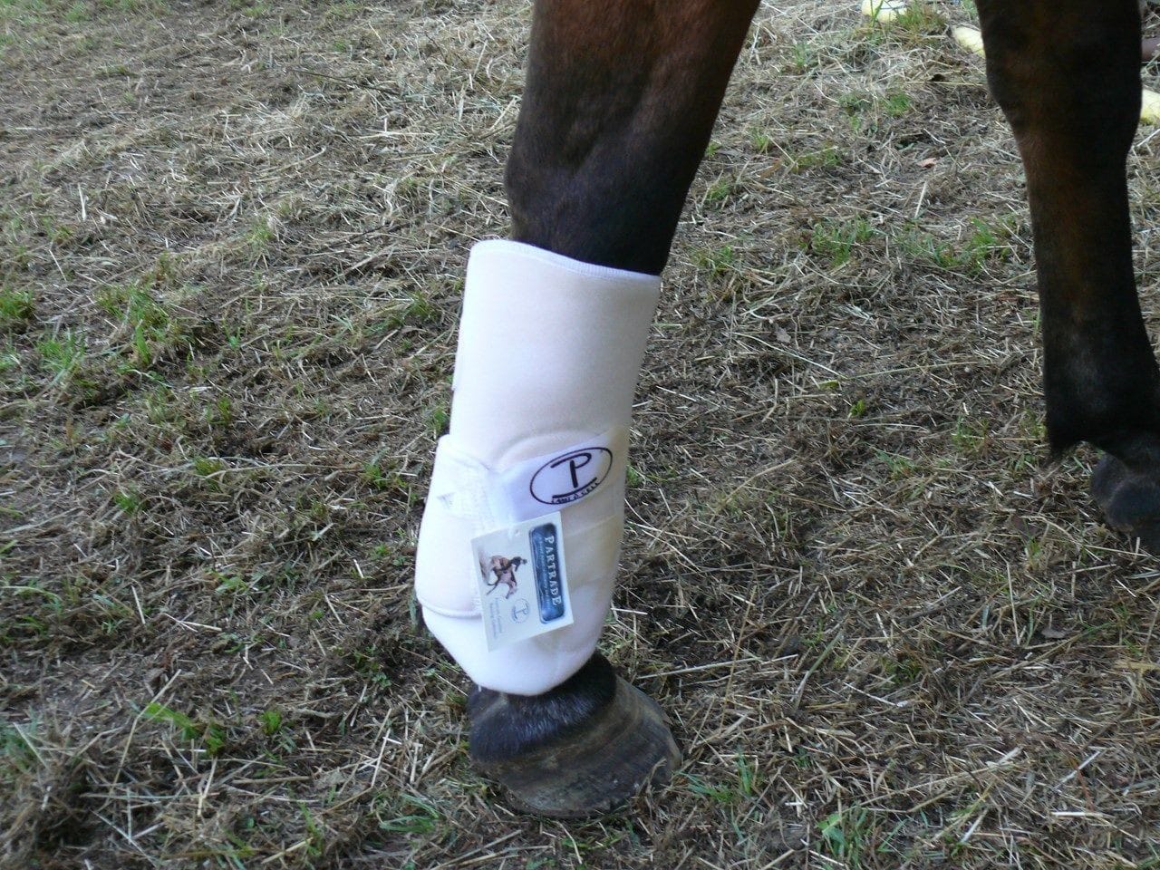 Splint Boot 2