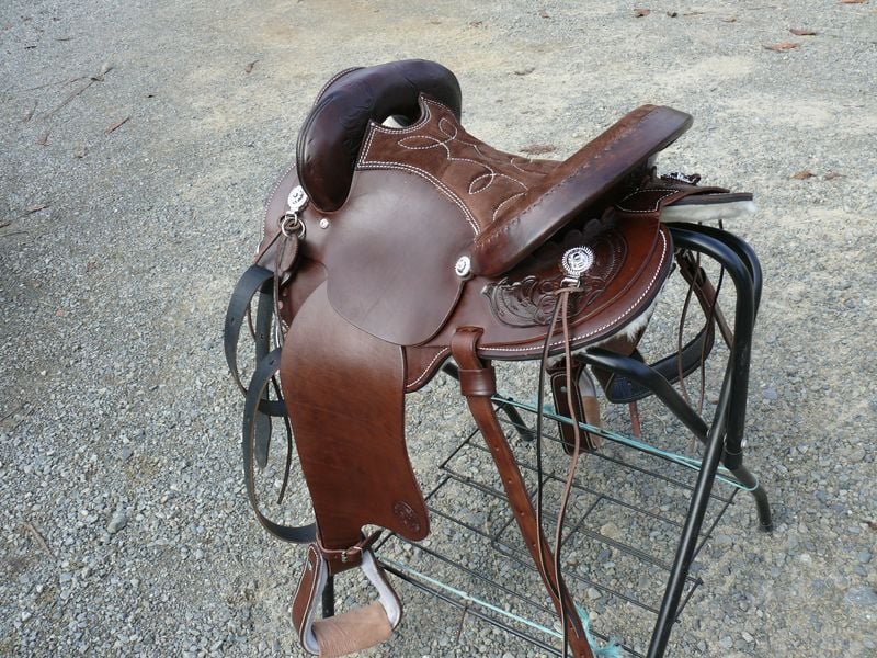 Hornless Trail 800 X600