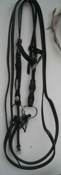 V Brow Show Bridle 800 X600