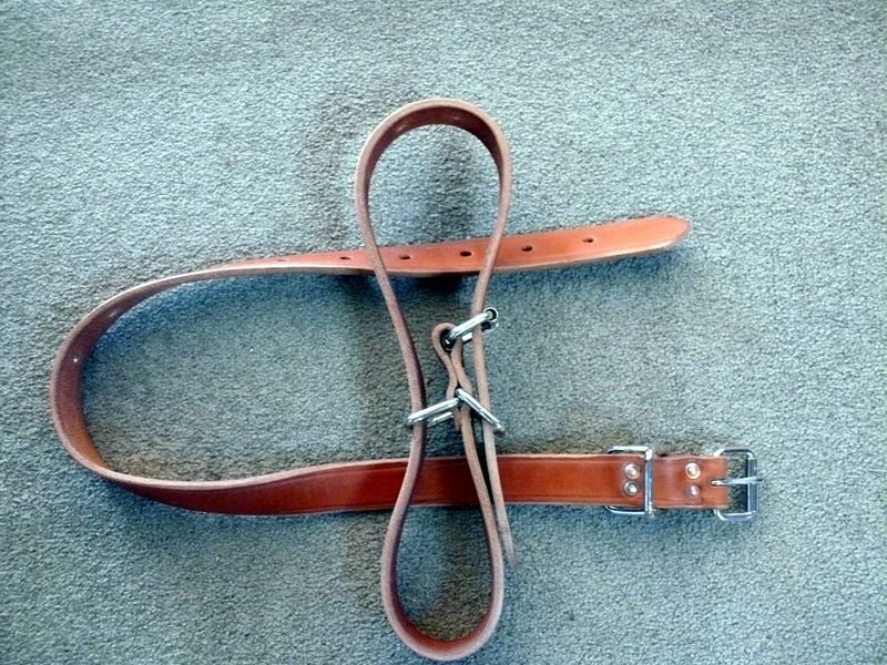 Hobble Belt 800 X600