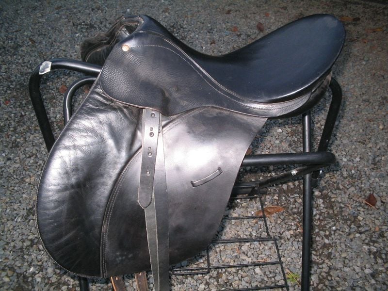 Bates 800 X600