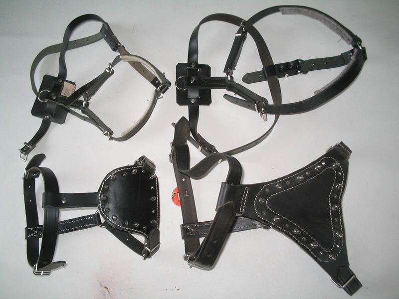 Harness And Sheilds 2 800X600