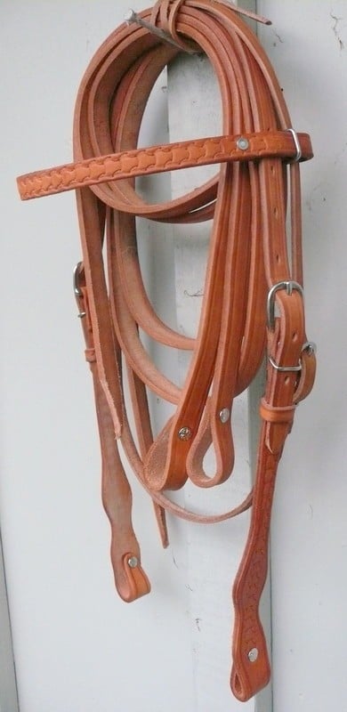 Plate Front Bridle