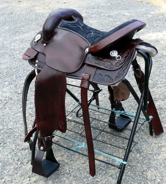 Hornless Wide Ss 800 X600
