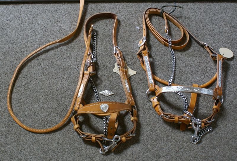 2 Show Halters 800 X600