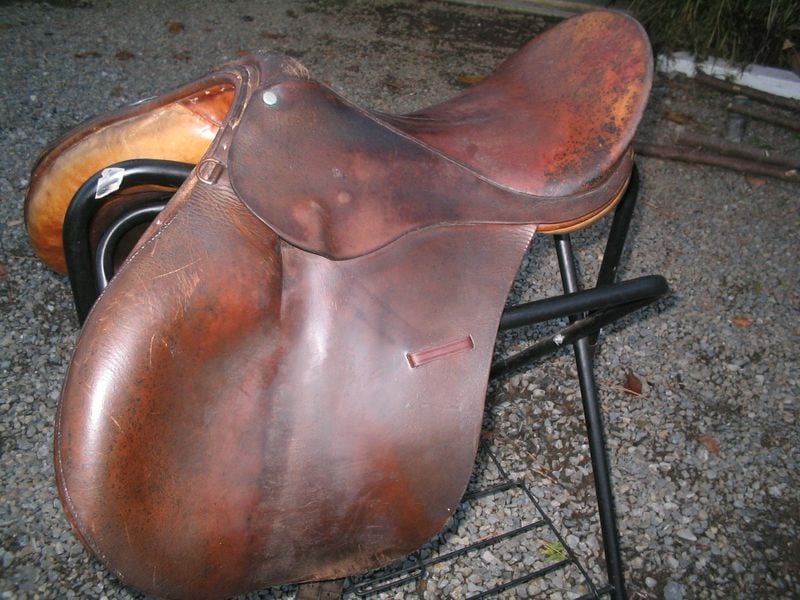Benseman 800 X600