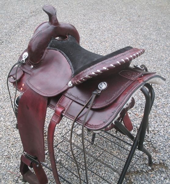 Gaited Saddle 800 X600